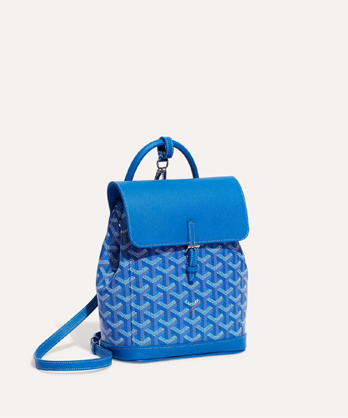 A-43322<br><b>GOYARD</b><br>알팡 백팩 미니</b><br>[매장가-470만원대]