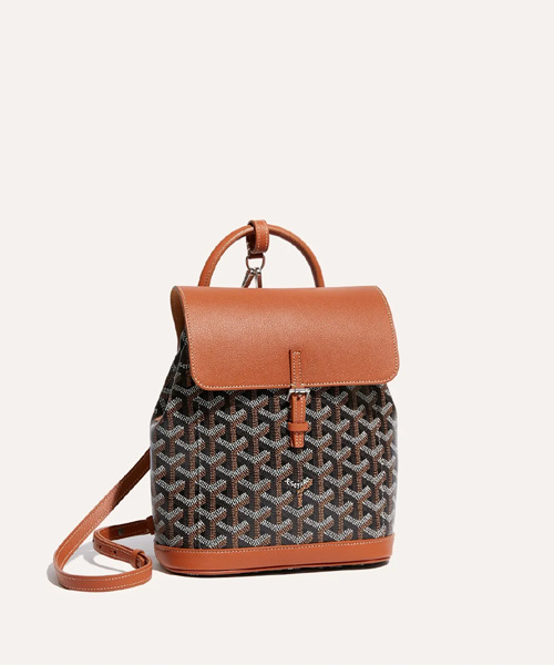 A-43316<br><b>GOYARD</b><br>알팡 백팩 미니</b><br>[매장가-470만원대]